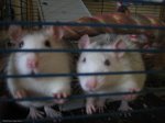 img_0116.jpg