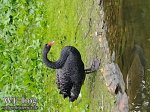 img_20210523_143958782.jpg
