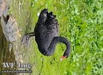 img_20210523_1439587821.jpg