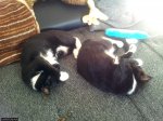 20130720_193308.jpg