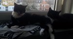 20131211_160240.jpg