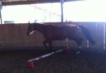 bild_057.jpg