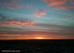 dsc_0007.jpg