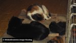 dsc04425.jpg