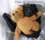 fledermausmitteddy.jpg