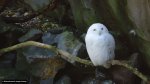 dsc00229.jpg