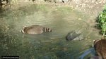 dsc00230.jpg