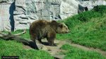 dsc00235.jpg