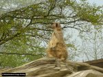 dsc00036.jpg