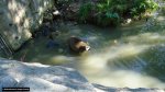 dsc00231.jpg