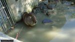 dsc00233.jpg