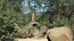 dsc00257.jpg