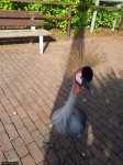 20130817_180149.jpg
