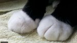 20140604_162320.jpg