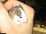 img_0043.jpg