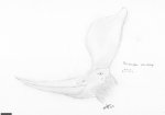 pteranodon001.jpg