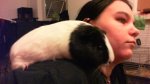 2015-04-27_22-10-45427.jpg