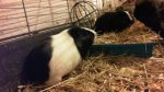 2015-04-27_22-04-06089.jpg