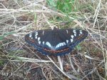 img-20130715-wa0055.jpg