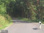 img-20130715-wa0048.jpg