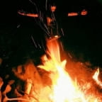 Shade_of_Munins Avatar