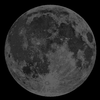 Neumond